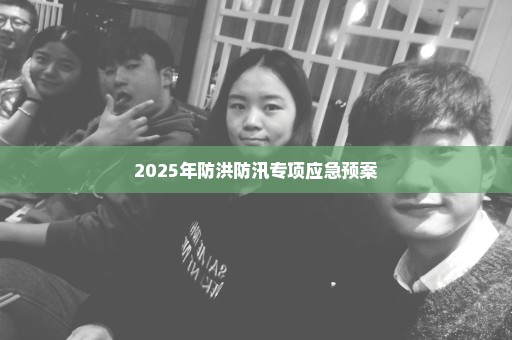 2025年防洪防汛专项应急预案