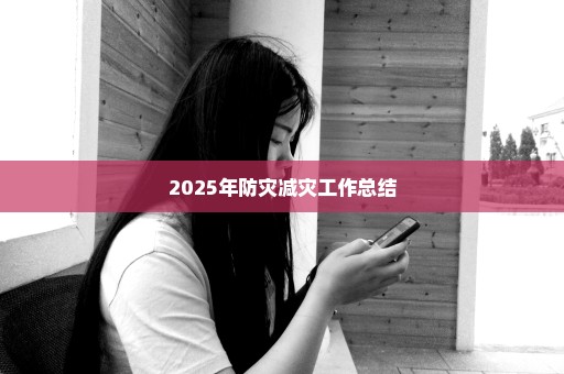 2025年防灾减灾工作总结