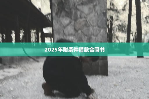 2025年附条件借款合同书