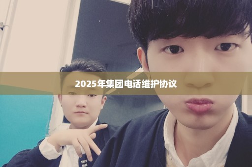 2025年集团电话维护协议