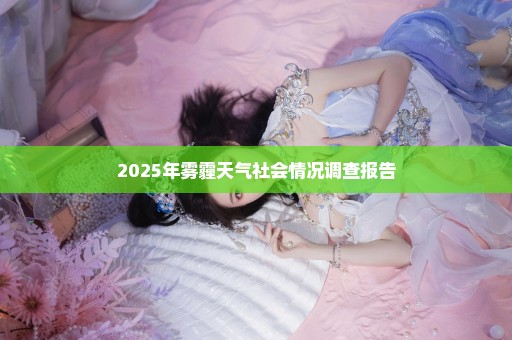 2025年雾霾天气社会情况调查报告