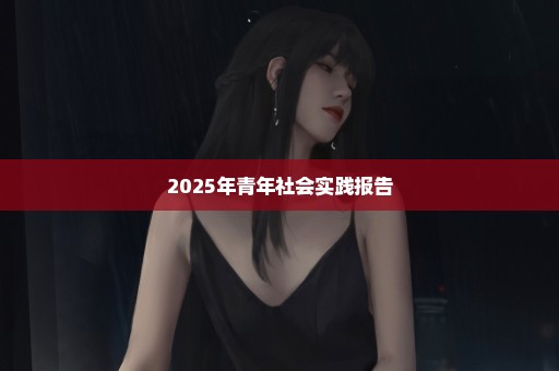 2025年青年社会实践报告