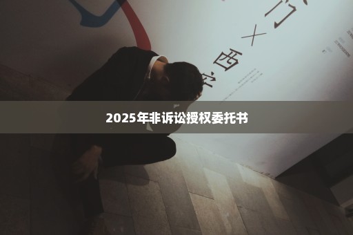 2025年非诉讼授权委托书