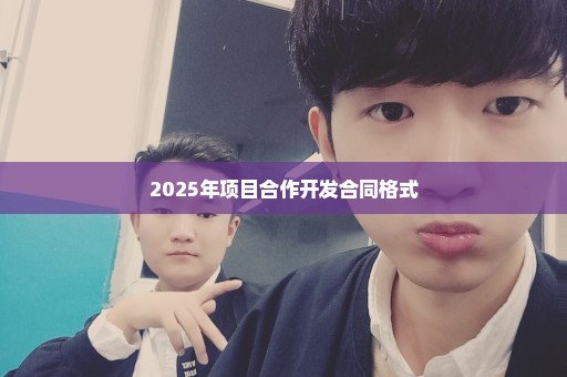 2025年项目合作开发合同格式