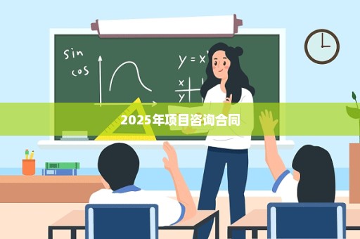 2025年项目咨询合同