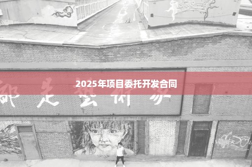 2025年项目委托开发合同