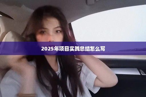 2025年项目实践总结怎么写