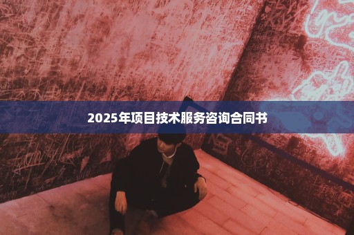 2025年项目技术服务咨询合同书