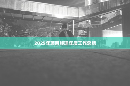 2025年项目经理年度工作总结