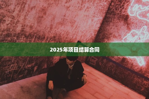 2025年项目结算合同