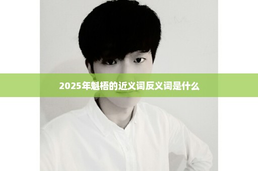 2025年魁梧的近义词反义词是什么