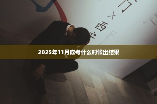 2025年11月成考什么时候出结果