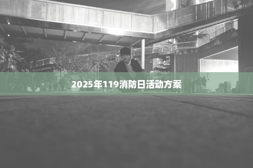 2025年119消防日活动方案