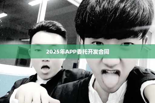 2025年APP委托开发合同