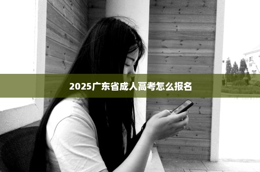 2025广东省成人高考怎么报名