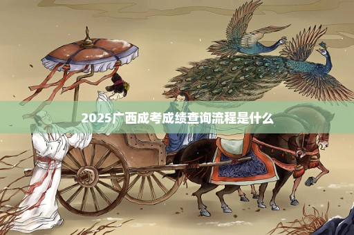 2025广西成考成绩查询流程是什么