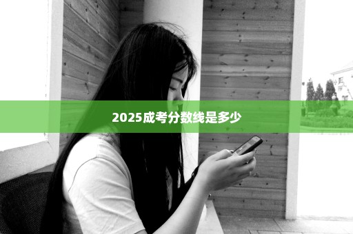 2025成考分数线是多少