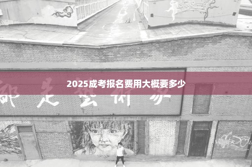 2025成考报名费用大概要多少