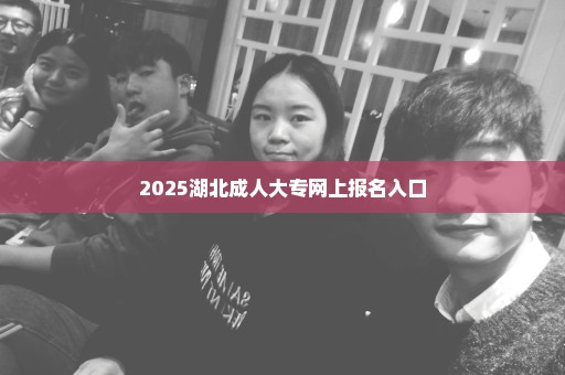 2025湖北成人大专网上报名入口
