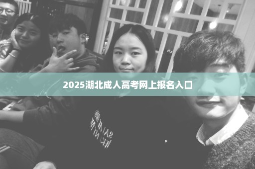 2025湖北成人高考网上报名入口