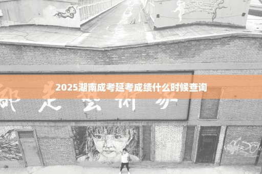2025湖南成考延考成绩什么时候查询