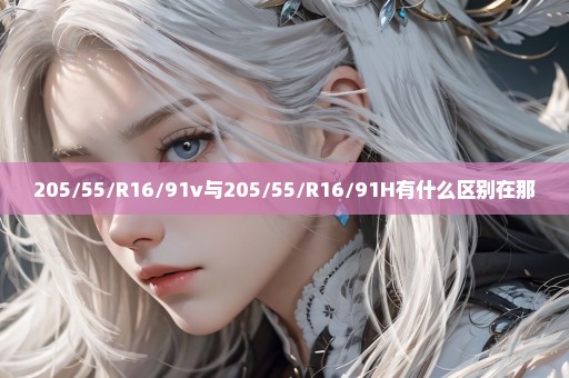 205/55/R16/91v与205/55/R16/91H有什么区别在那
