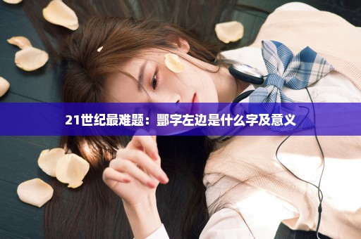 21世纪最难题：酆字左边是什么字及意义