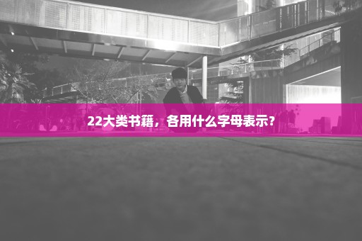 22大类书籍，各用什么字母表示？