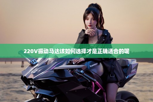 220V振动马达该如何选择才是正确适合的呢