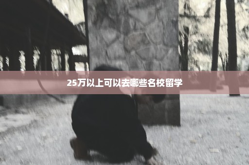 25万以上可以去哪些名校留学
