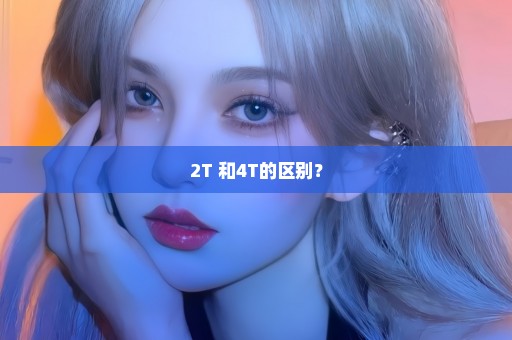 2T 和4T的区别？