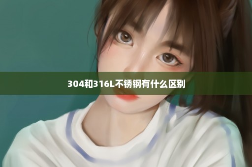304和316L不锈钢有什么区别
