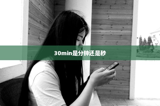30min是分钟还是秒