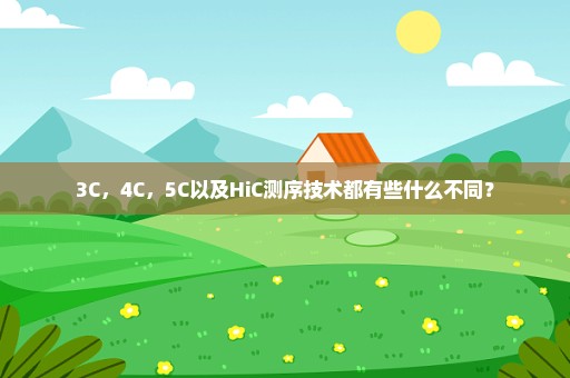 3C，4C，5C以及HiC测序技术都有些什么不同？