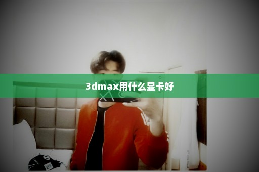 3dmax用什么显卡好