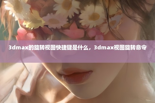 3dmax的旋转视图快捷键是什么，3dmax视图旋转命令 