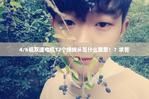 4/6极双速电机12个接线头是什么意思！？求答