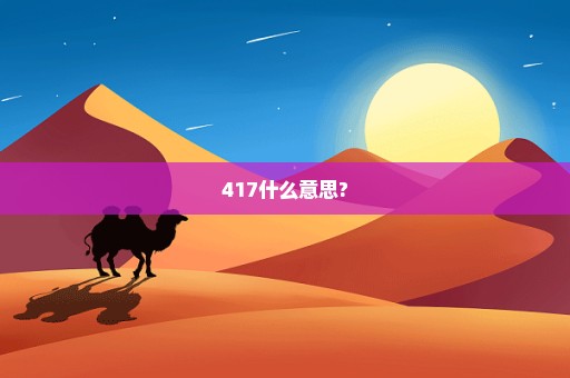 417什么意思?
