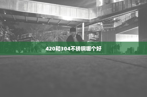 420和304不锈钢哪个好