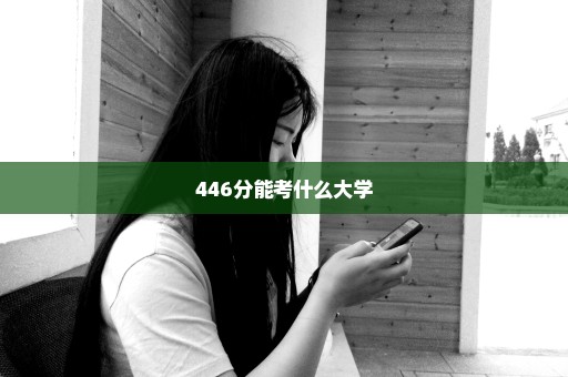 446分能考什么大学