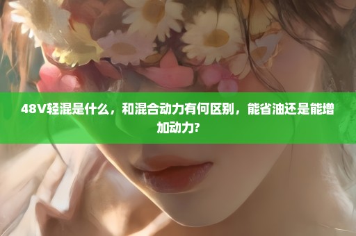 48V轻混是什么，和混合动力有何区别，能省油还是能增加动力?