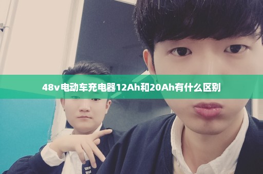 48v电动车充电器12Ah和20Ah有什么区别