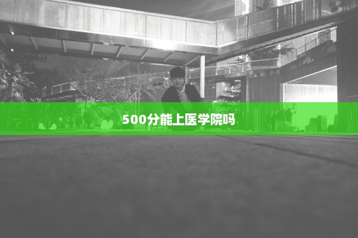 500分能上医学院吗