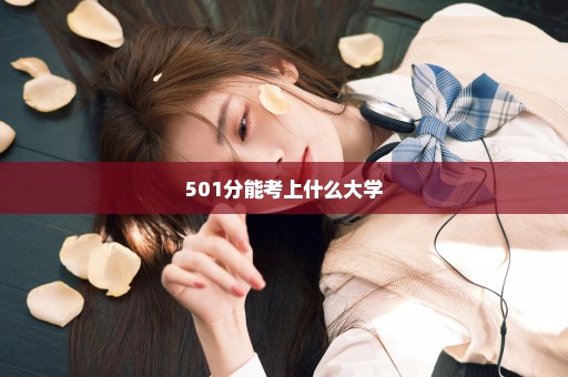 501分能考上什么大学