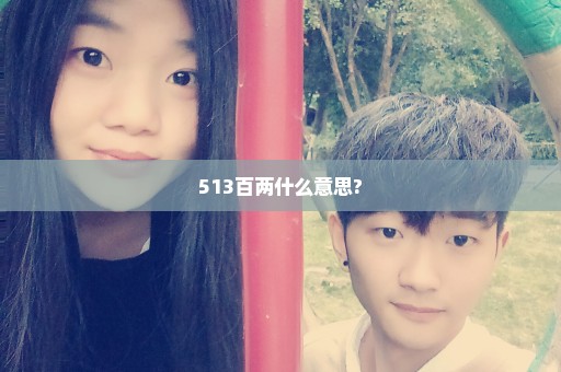 513百两什么意思?