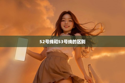52号线和53号线的区别