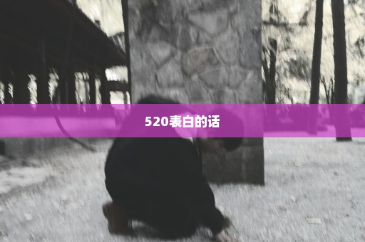 520表白的话