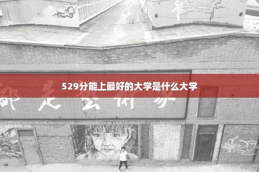 529分能上最好的大学是什么大学