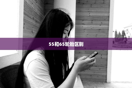 55和65轮胎区别