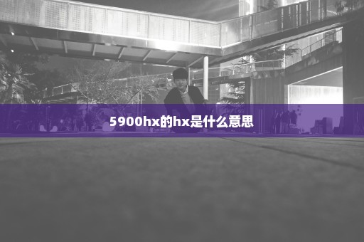 5900hx的hx是什么意思